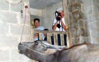 主人我错了能不能关掉开关_课堂惊魂：跳D失控的尴尬瞬间