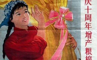 婚姻两载共长情，周年礼献情意浓