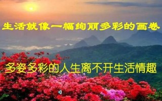 和父亲在一起的美好时光句子_父与我的心灵交融：携手并肩，共绘人生画卷