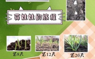 感冒吃了会怎么样_入口的惊人旅程：揭秘生理反应和潜在影响
