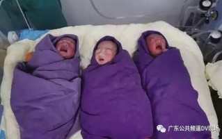 梦见自己怀了三胞胎女儿_梦中孕育三胞胎，母性之光的曙光