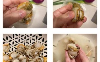 宝宝腿再张大一点就能吃到扇贝了_宝宝的腿再长长一口就能吃到香甜扇贝