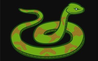 梦见很多蛇是什么预兆男人_梦中蛇现：男人吉凶预兆大揭秘