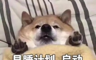 清醒躺一夜算熬夜吗—清醒一夜称休息 谬论还需推翻