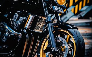 梦想比条件更重要(梦想之翼超越现实之障)