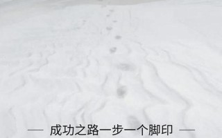 正能量的力量：开启积极人生的秘钥