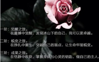 泪水洗涤后的心灵蜕变之旅