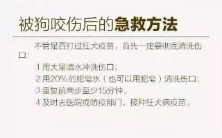 狗咬后多久算是安全了_狗咬后观察期 确保无狂犬风险