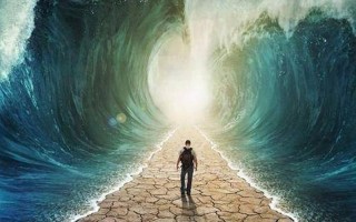 格局使然：性格绘就人生航向