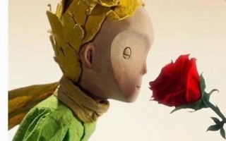 爱慕虚荣的人与小王子对话的衔接方面有什么特点(自恋狂想曲：虚荣的自我崇拜)