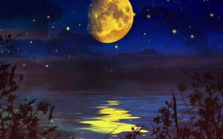 今夜星光满溢，月色婵娟明媚
