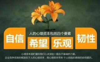 理性和乐观(理智乐观者的清醒视角与展望)