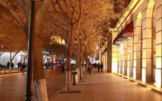 夜幕中枕内探知安眠故乡
