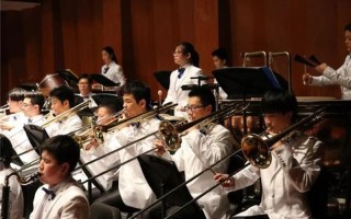 男生自乐器—琴弦上的少年狂想曲：青春与乐器的交响共鸣