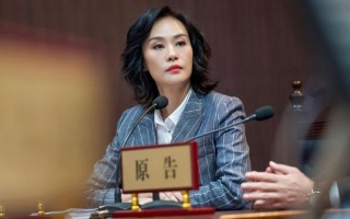 律师事务所附近民事案件(法苑之畔，诉讼焦点，精英聚集，指点乾坤)