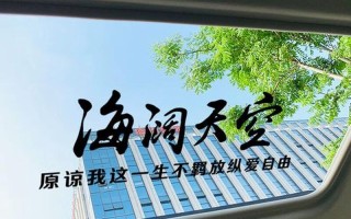 原谅我这一生不羁放纵爱自由是什么歌是什么意思(不羁一生，爱自由，何妨今生放纵过)