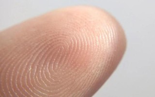 揭秘：Doi的含义，深入了解其背后的奥秘
