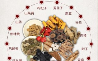 海狗鞭特补胶囊—海狗鞭特补胶囊：重塑雄风，唤醒 *** 