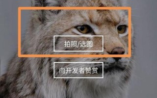 为什么往后面入会想要叫(新入会为何欲向后转)