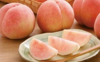 桃子属性之辨：凉性抑或热性