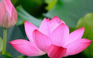 10个预示横财降临的美梦启示