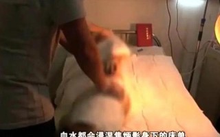 前男友的分手炮：让床单都颤抖的激烈回忆