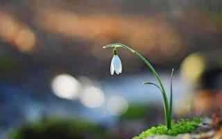 东莞挽救婚姻 重燃爱火谱新章