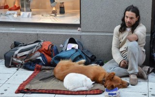 狗和人卡在一起的原因—毛绒羁绊：当忠犬与人类密不可分