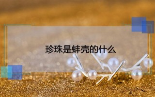 开蚌什么意思形容女人_深挖蚌壳，探寻女性内心的隐秘