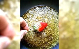 你棍子的棍怎么写—我的棍棍，你的草莓，岂能相容？