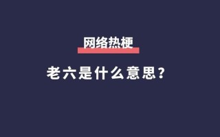你这个老六是什么意思 *** 用语( *** 流行词：这个老六是什么意思？)