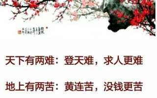 人在江湖身不由己_身在江湖不由人，命由天定道由己