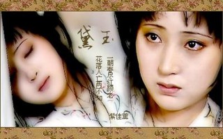 暗香盈袖，心系伊人