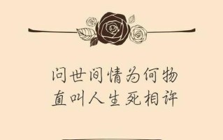 不相信爱情_爱情，虚妄之梦，不可信