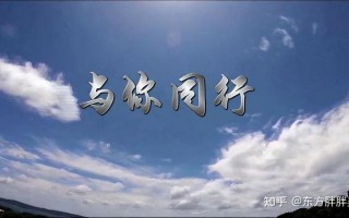 你有你的社会语录_与你同行的社会指引：我的社交语录精华