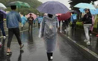为什么很多人在下雨天会睡得更香(雨声轻柔 睡眠更绵长)