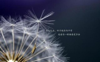 如何释放压抑的情绪句子简短_释放心绪，释放压抑，重拾内心的宁静