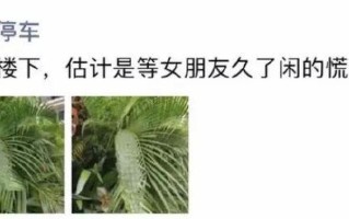 男生会喊喜欢的女生兄弟吗_当男生对喜欢的女生说兄弟时的潜台词