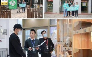 开办宠物店指南：全方位盘点必备要素
