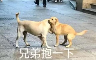 一下子一下(步步紧逼，寸土不让：往里怼到底)
