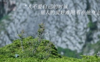 婚姻不如意发朋友圈的文案_婚姻如雾，迷惘难辨