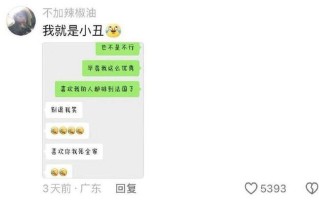 沉迷于单恋， *** 热梗揭秘Crush