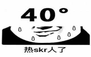 skr红遍 ***  含义究竟为何