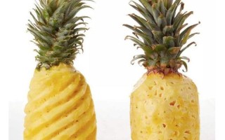 凤梨和菠萝一样吗(凤梨菠萝同宗共祖，酸甜滋味各千秋)