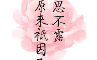 把下面能看湿的句子1000字_湿漉漉的文字交织，千言诉尽水光潋滟