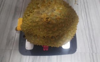 榴莲太生剥壳的应急处理方案