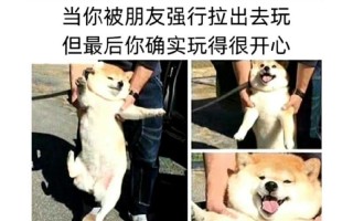 E型人格与I型人格的剖析