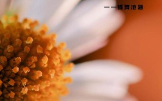 情感的本质：灵魂深处的一场编织