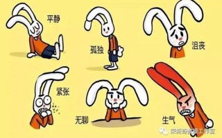 合理情绪疗法abcde分别代表什么_情绪理性关照：疗愈心灵困扰的钥匙