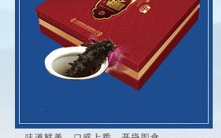 海参精粹，健康焕新，养生佳品，天然呵护